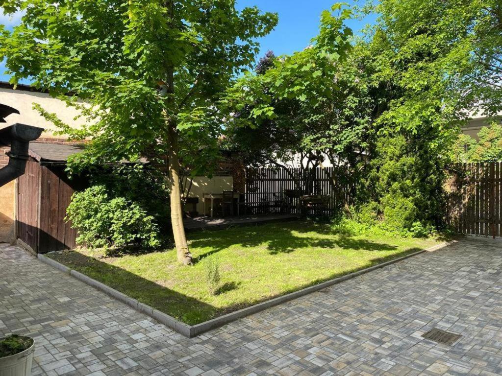 Cerny Tulipan - Apartman 5 Pilzno Zewnętrze zdjęcie
